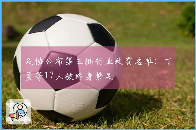 足协公布第三批行业处罚名单：丁勇等17人被终身禁足